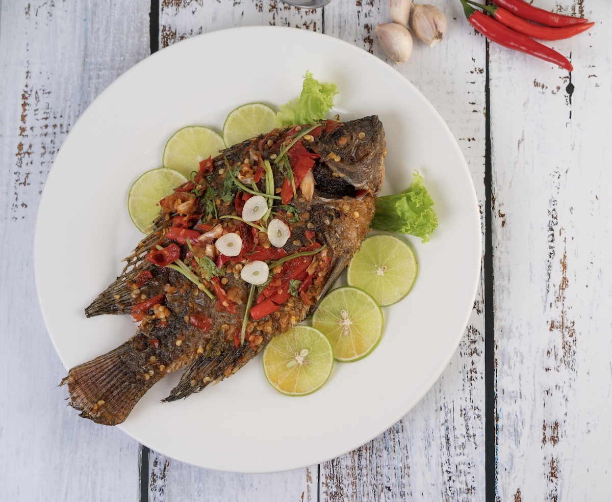 Tilapia